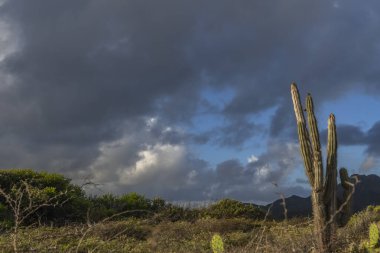 Bulutlu gökyüzü ile Curacao adasının muhteşem manzarası