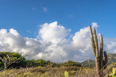 Bulutlu gökyüzü ile Curacao adasının muhteşem manzarası