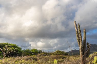 Bulutlu gökyüzü ile Curacao adasının muhteşem manzarası