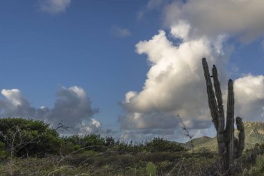 Bulutlu gökyüzü ile Curacao adasının muhteşem manzarası