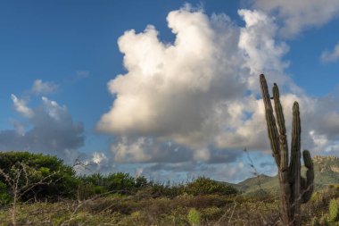 Bulutlu gökyüzü ile Curacao adasının muhteşem manzarası
