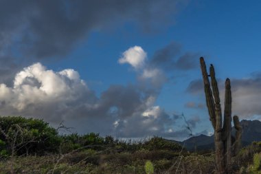 Bulutlu gökyüzü ile Curacao adasının muhteşem manzarası