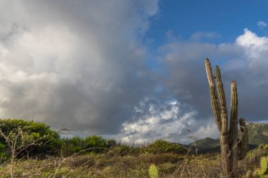 Bulutlu gökyüzü ile Curacao adasının muhteşem manzarası