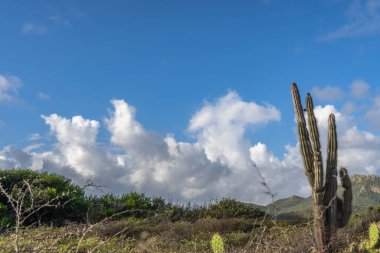Bulutlu gökyüzü ile Curacao adasının muhteşem manzarası