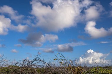 Bulutlu gökyüzü ile Curacao adasının muhteşem manzarası