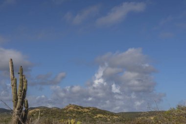 Bulutlu gökyüzü ile Curacao adasının muhteşem manzarası