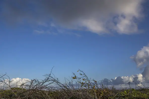 曇りの空とキュラソー島の素晴らしい風景 — ストック写真