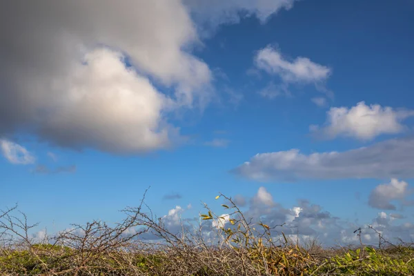 曇りの空とキュラソー島の素晴らしい風景 — ストック写真