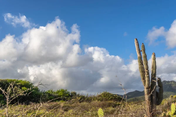 Bulutlu gökyüzü ile Curacao adasının muhteşem manzarası