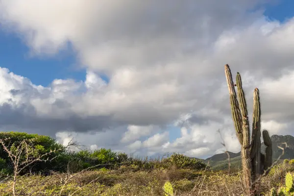 Bulutlu gökyüzü ile Curacao adasının muhteşem manzarası