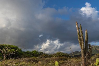 Bulutlu gökyüzü ile Curacao adasının muhteşem manzarası