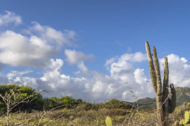 Bulutlu gökyüzü ile Curacao adasının muhteşem manzarası