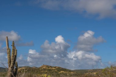 Bulutlu gökyüzü ile Curacao adasının muhteşem manzarası