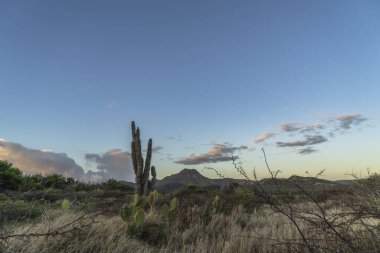 Bulutlu gökyüzü ile Curacao adasının muhteşem manzarası