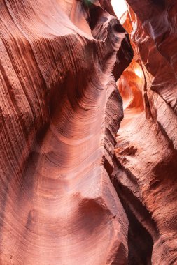 Dalgalı ve pürüzsüz kaya duvarları olan bir kanyonda manzara, Canyon X, Arizona, ABD