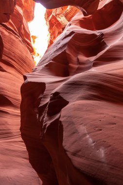 Dalgalı ve pürüzsüz kaya duvarları olan bir kanyonda manzara, Canyon X, Arizona, ABD