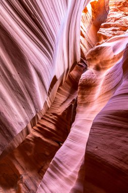 Dalgalı ve pürüzsüz kaya duvarları olan bir kanyonda manzara, Canyon X, Arizona, ABD