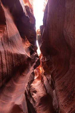 Dalgalı ve pürüzsüz kaya duvarları olan bir kanyonda manzara, Canyon X, Arizona, ABD