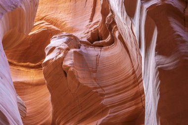 Dalgalı ve pürüzsüz kaya duvarları olan bir kanyonda manzara, Canyon X, Arizona, ABD