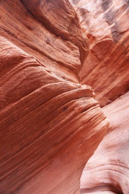 Dalgalı ve pürüzsüz kaya duvarları olan bir kanyonda manzara, Canyon X, Arizona, ABD