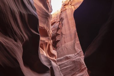 Dalgalı ve pürüzsüz kaya duvarları olan bir kanyonda manzara, Canyon X, Arizona, ABD