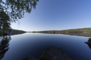 Ormanın güzel manzaralı göl.