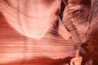 Dalgalı ve pürüzsüz kaya duvarları olan bir kanyonda manzara, Canyon X, Arizona, ABD