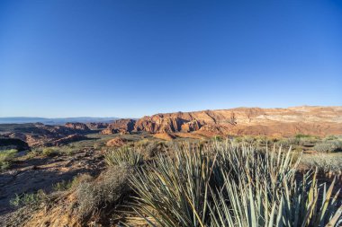 Karlı Kanyon, Utah, ABD 'deki dağları ve otlakları gören manzara..