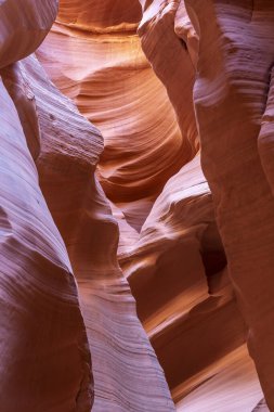 Dalgalı ve pürüzsüz kaya duvarları olan bir kanyonda manzara, Canyon X, Arizona, ABD