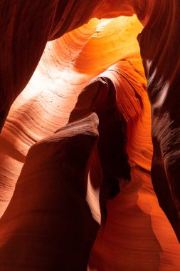 Dalgalı ve pürüzsüz kaya duvarları olan bir kanyonda manzara, Canyon X, Arizona, ABD