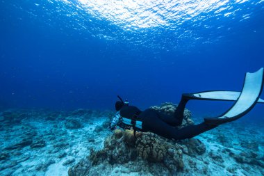 Karayip denizinde kadın dalgıcın sualtı görüntüsü 