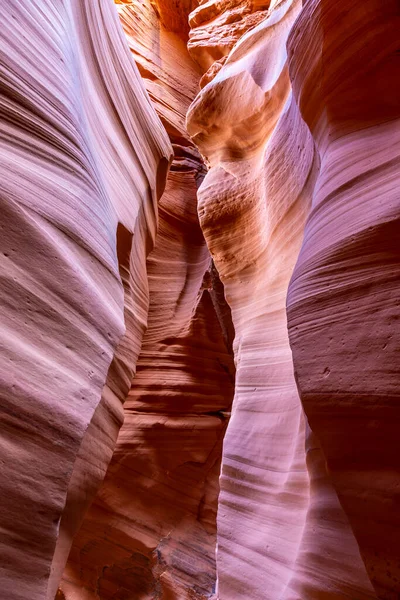 Dalgalı Pürüzsüz Kaya Duvarları Olan Bir Kanyonda Manzara Canyon Arizona — Stok fotoğraf