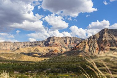 ABD 'nin Utah eyaletindeki Kar Kanyonu Parkı' ndaki dağları ve otlakları gören manzara