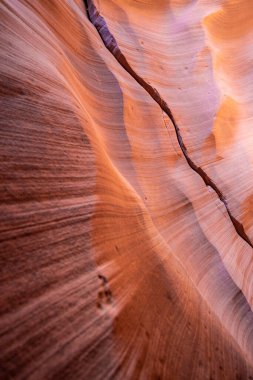 Dalgalı ve pürüzsüz kaya duvarları olan bir kanyonda manzara, Canyon X, Arizona, ABD