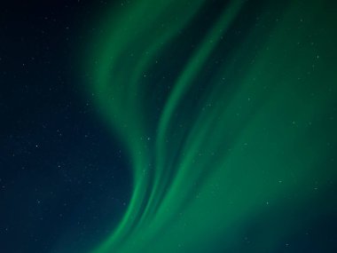 Kuzey ışıkları manzarası, Reykjanes yarımadası üzerinde Aurora borealis, İzlanda