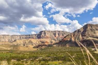 ABD 'nin Utah eyaletindeki Kar Kanyonu Parkı' ndaki dağları ve otlakları gören manzara