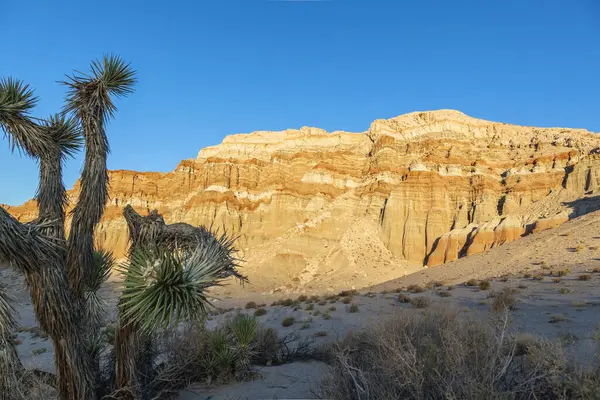 Landschaft Mit Roten Felswänden Und Steinwüste Der Nähe Von Mojave — Stockfoto