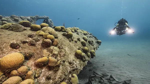 scuba diving in the Caribbean sea
