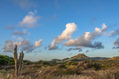 Bulutlu gökyüzü ile Curacao adasının muhteşem manzarası