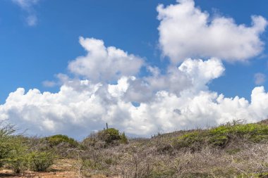 Bulutlu gökyüzü ile Curacao adasının muhteşem manzarası