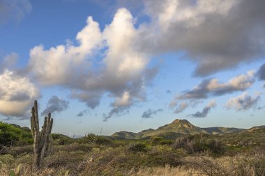 Bulutlu gökyüzü ile Curacao adasının muhteşem manzarası