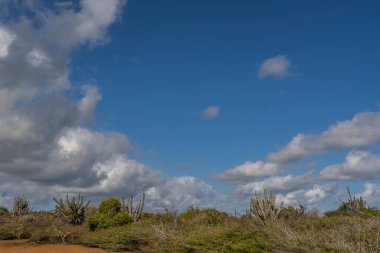 Bulutlu gökyüzü ile Curacao adasının muhteşem manzarası