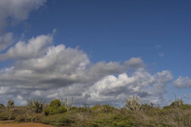 Bulutlu gökyüzü ile Curacao adasının muhteşem manzarası
