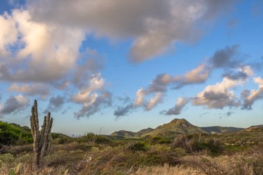 Bulutlu gökyüzü ile Curacao adasının muhteşem manzarası