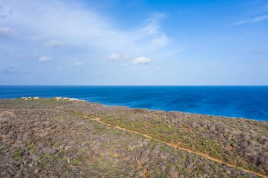 Karayip Denizi 'ndeki Curacao' nun güzel sahil manzarası.