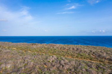 Karayip Denizi 'ndeki Curacao' nun güzel sahil manzarası.