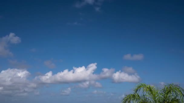 Time Lapse Κινούμενα Σύννεφα Πάνω Από Την Καραϊβική Θάλασσα — Αρχείο Βίντεο