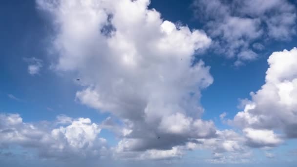 加勒比海上空云彩飘扬 时间流逝 — 图库视频影像
