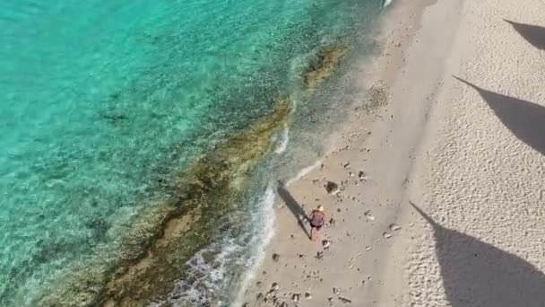 카리브해의 섬에서 해변을 걸어다니는 — 비디오