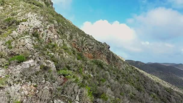 Letecký Pohled Malebné Hory Ostrově Karibiku — Stock video